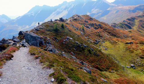 Artikelbild zu Artikel Wanderwoche des Singkreises im Alpbachtal