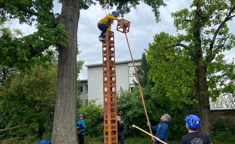 Artikelbild zu Artikel „Hoch hinauf“ im Schlosspark