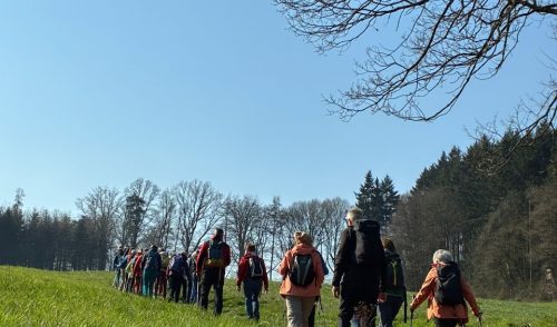 Artikelbild zu Artikel Blauer Himmel, grüne Wiesen und Oberflockenbach
