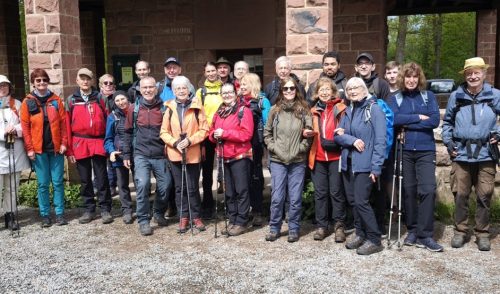 Artikelbild zu Artikel Bericht: Aprilwanderung 2026 – von Schriesheim auf den Weißen Stein